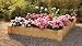 Outdoor Living : 4x4 Foot Raised Flower Bed