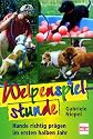 Welpenspielstunde: Hunde richtig prägen im ersten halben Jahr
