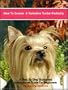 How to Groom a Yorkshire Terrier Perfectly: A Step by Step Illustrated Guide for Grooming Your Yorkshire Terrier
