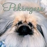 Pekingese: 2003