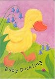 Baby duckling