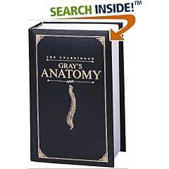 Anatomy