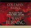 I Want Burning: The Ecstatic World of Rumi, Hafiz, and Lalla