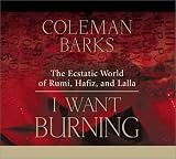 I Want Burning