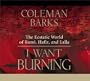 I Want Burning