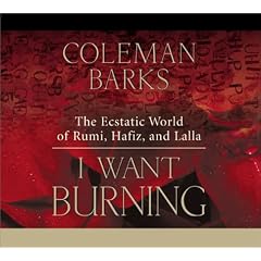 I Want Burning