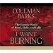 I Want Burning: The Ecstatic World of Rumi, Hafiz, and Lalla