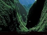 Gorges Du Bras De Caverne by Yann Arthus-Bertrand. Art Print Poster 31.5 inches width by 23.5 inches height. Highest Quality Art Poster Print