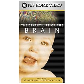 Secret Life of Brain: Baby's & Wider [VHS]