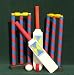 UPFRONT Safety cricket set Kids Toddlers bat ball stumps childs
