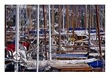 Charter Boats in Marina, Bodrum, Turkey, Sailboats & Yachts Photographic Poster Print by Peter Ptschelinzew, 24x18