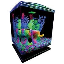 Tetra 29236 GloFish Aquarium Kit, 1.5-Gallon
