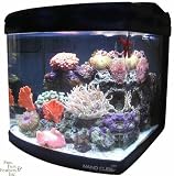 Pet Supplies : JBJ 24 Gallon Nano Cube Deluxe Aquarium with (2) Nite-Vu LED Moonlights