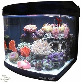 JBJ 24 Gallon Nano Cube Deluxe Aquarium with (2) Nite-Vu LED Moonlights