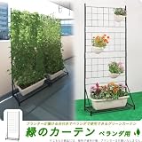 【プランター台付きでベランダで使用可能】 エコで涼しい 緑のカーテン ベランダ用 (環境問題/食育/熱環境緩和)