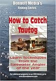 HOW TO CATCH TAUTOG