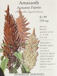 Amaranth "Autumn Palette" Seeds