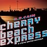 Cherry Beach Express: A Steve Nastos Mystery, Book 1