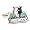 Minnesota Timberwolves