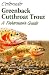 Colorado's Greenback Cutthroat Trout: A Fisherman's Guide