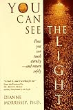 You Can See the Light: How You Can Touch Eternity - And Return Safely