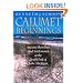 Calumet Beginnings: Ancient Shorelines and Settlements at the South End of Lake Michigan