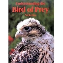 Understanding the Bird of Prey