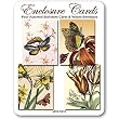 Botanical Butterfly - Set of Four Assorted Gift Cards and Vellum Envelopes
