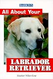 Barron's All About Your Labrador Retriever (All about Your Pet)
