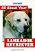 Barron's All About Your Labrador Retriever (All about Your Pet)
