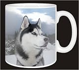 SIBERIAN HUSKY SLED DOG Coffee Mug  from Advanta