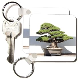 Trees - Bonsai Tree - Key Chains