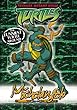 Teenage Mutant Ninja Turtles - Michelangelo: Collector Book