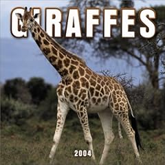 Giraffes Wall Calendar: 2004
