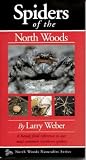 Spiders of the North Woods (North Woods Naturalist Series)