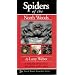 Spiders of the North Woods (North Woods Naturalist Guides)