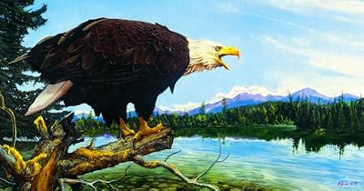 Eagle Point 500pc Jigsaw Puzzle by Ervin Molnar