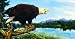 Eagle Point 500pc Jigsaw Puzzle by Ervin Molnar