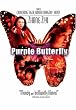 Purple Butterfly