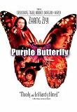 Purple Butterfly Purple Butterfly