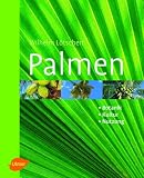 Palmen. Botanik, Kultur, Nutzung - Wilhelm L�tschert