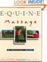 Equine Massage