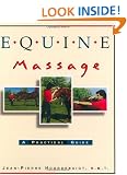 Equine Massage