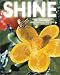 Books : Shine: Wishful Fantasies and Visions of the Future in Contemporary Art