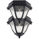 Globe One-Light Flush Mount Ceiling Fixture, Black with Clear Globe, 2 Pack #4396801