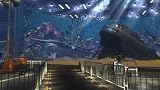 picture of The Shoot - Move Required (PS3)