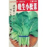 新晩生小松菜(一般種)
