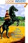The Black Stallion's Shadow