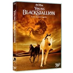 Young Black Stallion