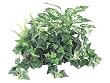 Pack of 2 Artificial Mixed Greenery Ledge Plants With Baskets 18"
